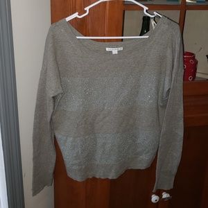 Banana Republic Beige/Metallic Wool Blend Sweater